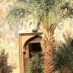 Casablanca Desert Tour - What the Reviews Reveal: Authentic Insights