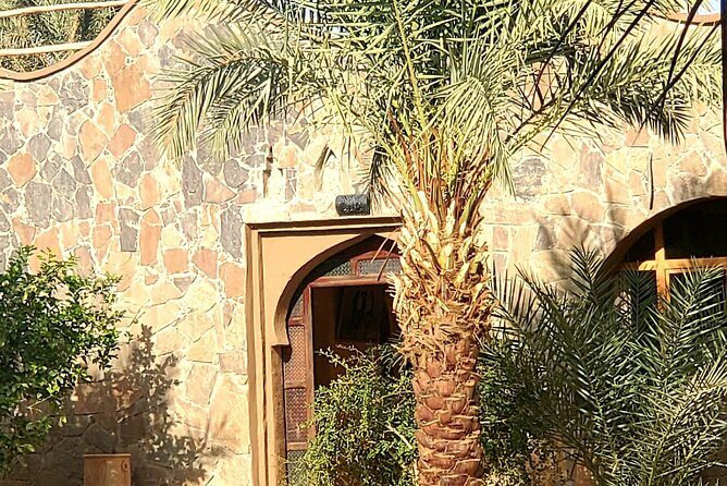 Casablanca Desert Tour - What the Reviews Reveal: Authentic Insights