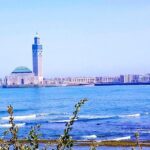 Casablanca Half Day City Tour - Who Will Love This Tour?