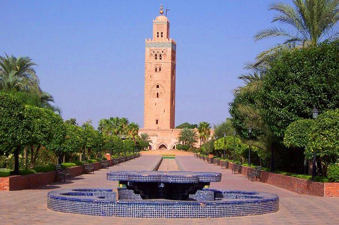 Casablanca to Marrakech Day Trip with Camel Ride - What Past Travelers Say