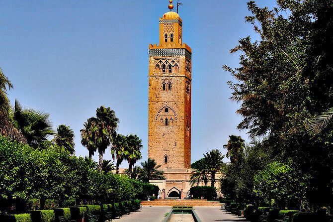 Casablanca to Marrakech Private Full-Day Trip with Camel Ride - Value for Money