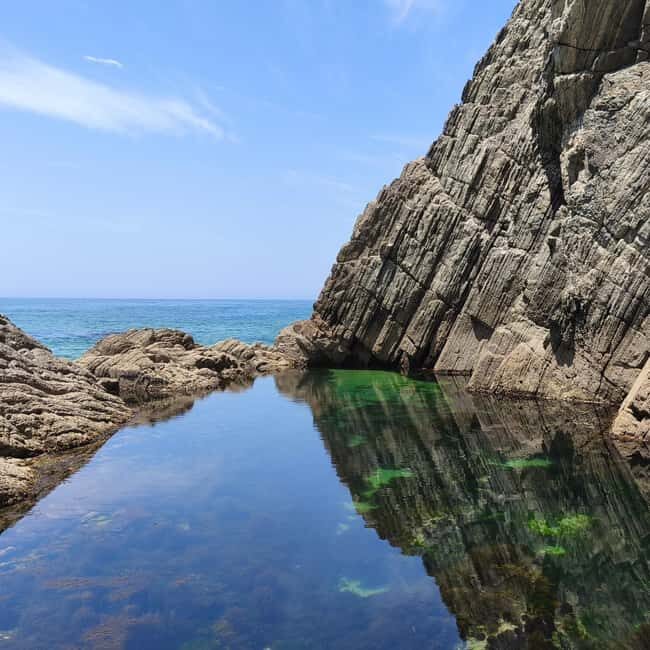Cascais: Atlantic Coastline Wild Hike - Who Will Love This Tour?