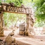 Casela World of Adventures, West of Mauritius - Full Day + Lunch - What Reviewers Say: Honest Insights