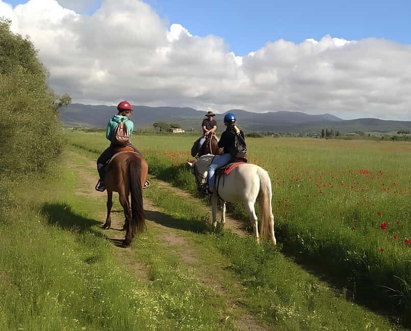 Castagneto Carducci: Horseback Riding Experience in Tuscany - The Ride Experience