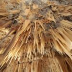 Castellana Grottoes: Official Guided Tour with Entry Ticket - The Experience: Pros and Cons