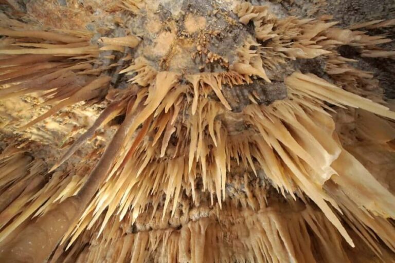 Castellana Grottoes: Official Guided Tour with Entry Ticket - The Experience: Pros and Cons