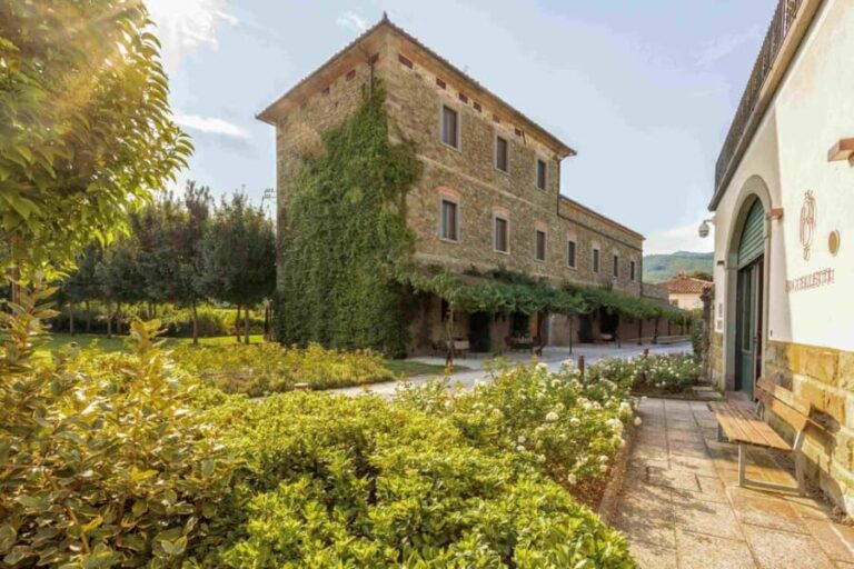 Castiglion Fiorentino: Vegetable Harvest And Wine Experience - Key Points