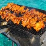 Catamaran, BBQ, Ile Gabriel , Ile Plate ,Coin de Mire - Pricing and Value