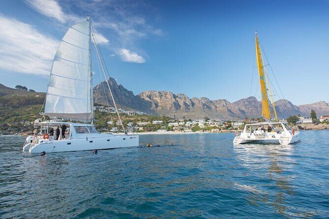 Catamaran Cruise in Cape Town - Who Will Love This Tour?