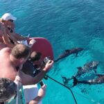 Catamaran Sailing Tour - Final Thoughts