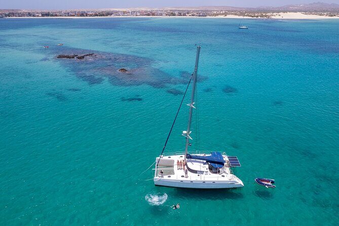 Catamaran Sailing Tour or Whale Watching at Boa Vista - The Itinerary Breakdown