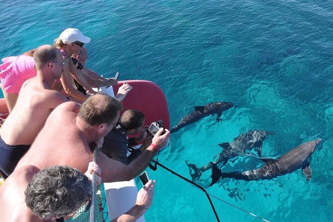 Catamaran Sailing Tour - Final Thoughts