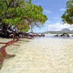 Catamaran to Ile aux Cerf with Parasailing, Tube Riding & Lunch - What to Expect: A Closer Look at the Experience