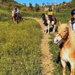 Catania: Guided Horseback Ride in Misterbianco Countryside - The Experience Itself: What to Expect