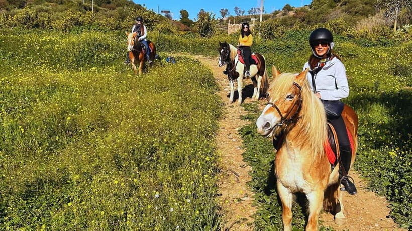 Catania: Guided Horseback Ride in Misterbianco Countryside - The Experience Itself: What to Expect
