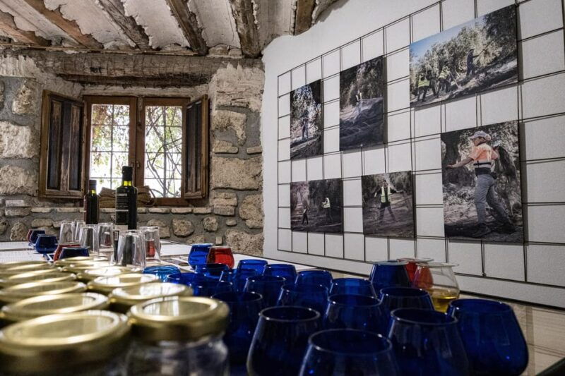 cazorla-olive-oil-tasting