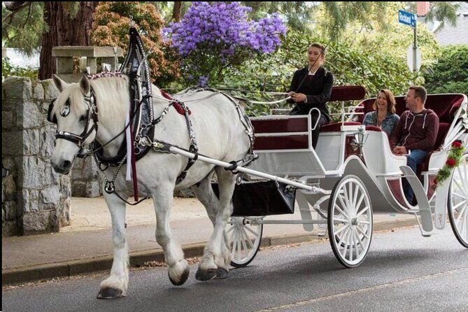 Central Park and NYC Private Horse Carriage Ride - Learning & Connecting with the Park’s History