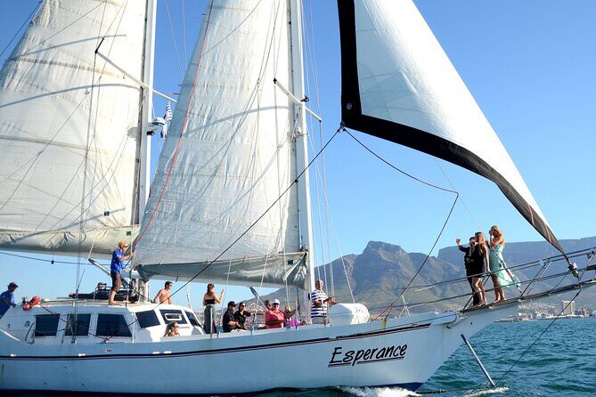 Champagne Cruise (Pre-Sunset) from Cape Town - Authentic Experiences from the Reviews