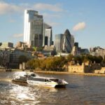 Changing of Guards, Tower of London, Beefeaters & Cruise - What’s Included and What’s Not