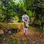 Chania Safari & Botanical Garden  Nature & Aromas Tour - What’s Included and What’s Not