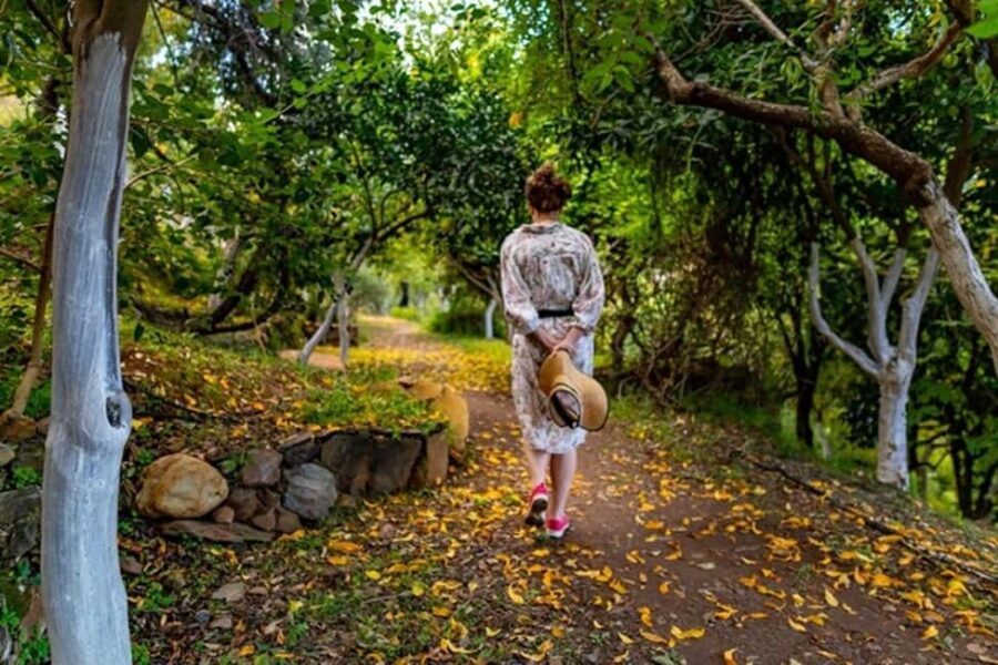 Chania Safari & Botanical Garden  Nature & Aromas Tour - What’s Included and What’s Not