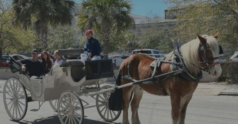Charleston, SC: Private Evening Horse & Carriage Tour - Practical Details and Logistics