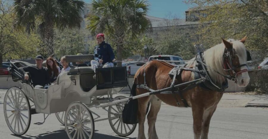 Charleston, SC: Private Evening Horse & Carriage Tour - Practical Details and Logistics