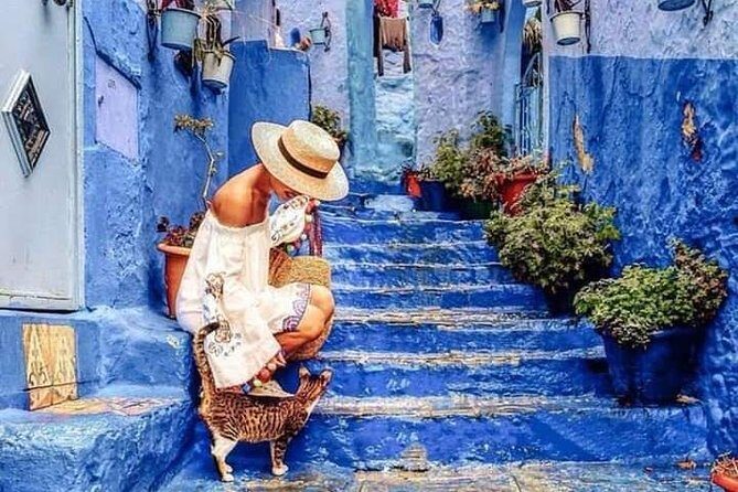 Chefchaouen Day Trip! The Blue Pearl - Exploring Chefchaouen: The Blue Streets and Hidden Gems