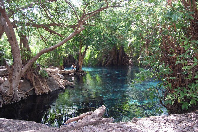 Chemka Hot Springs Day Trip - Why You’ll Love This Tour