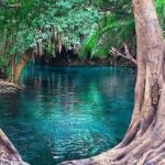 Chemka Hot Springs Tour from Moshi - Detailed Breakdown of the Itinerary