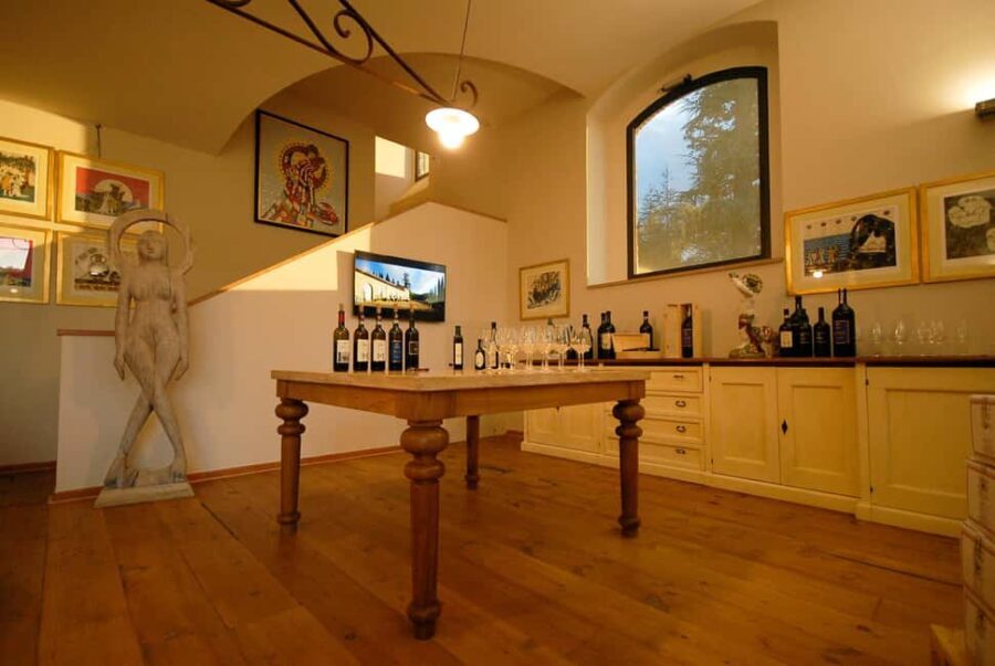 Chianti: Private Winery Tour and Wine Tasting - The Experience of Vineyards and Production