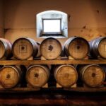 Chianti Rufina: Discover the tradition of extra virgin olive oil and organic wines - An In-Depth Look at the Chianti Rufina Experience
