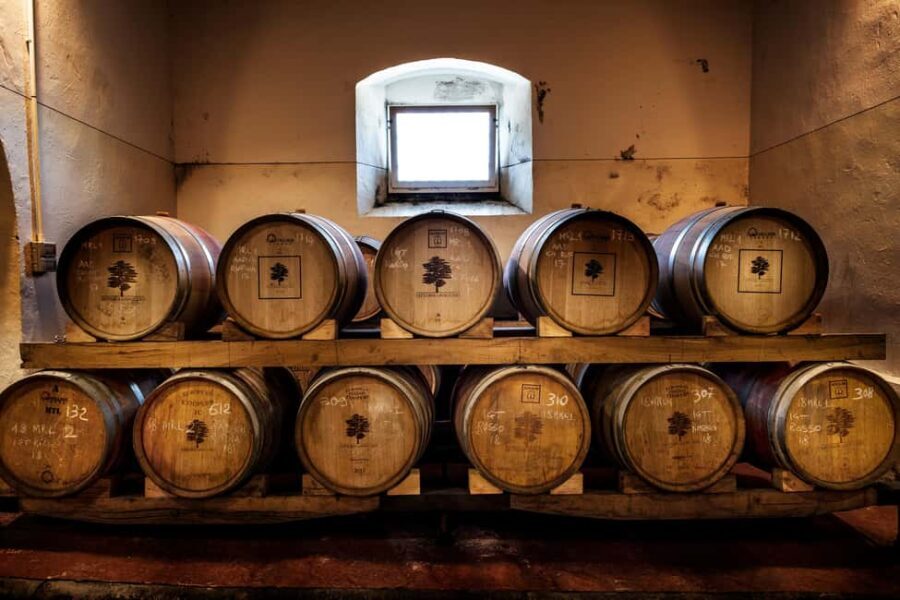 Chianti Rufina: Discover the tradition of extra virgin olive oil and organic wines - An In-Depth Look at the Chianti Rufina Experience