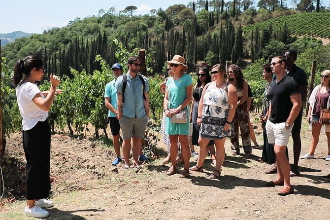 Chianti Wine Tour from Florence - What’s Included and What’s Not