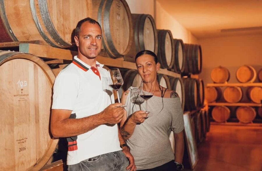 Chianti Winery Tour with Wine & Food Tasting near Florence - The Experience Breakdown