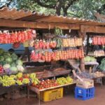 Chinotimba Township Tour (Zimbabwe) - Practical Details and Tips