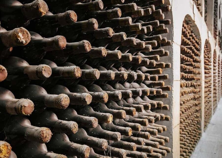 Chisinau: Milestii Mici Winery Tour with 3 Tastings - Who Will Love This Experience?