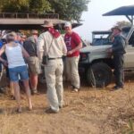 Chobe 3hr Game drive - Who Should Consider This Tour?
