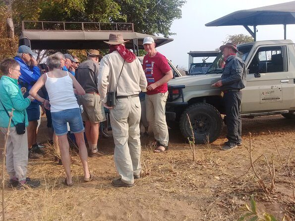Chobe 3hr Game drive - Who Should Consider This Tour?