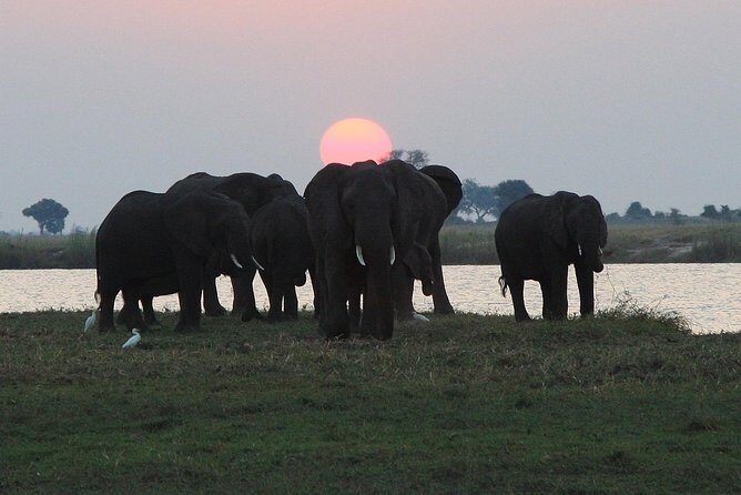 chobe 3hr sunset boat cruise - FAQ