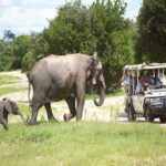 Chobe Boat Cruise & Game Drive Day Trip From Livingstone - The Itinerary Breakdown