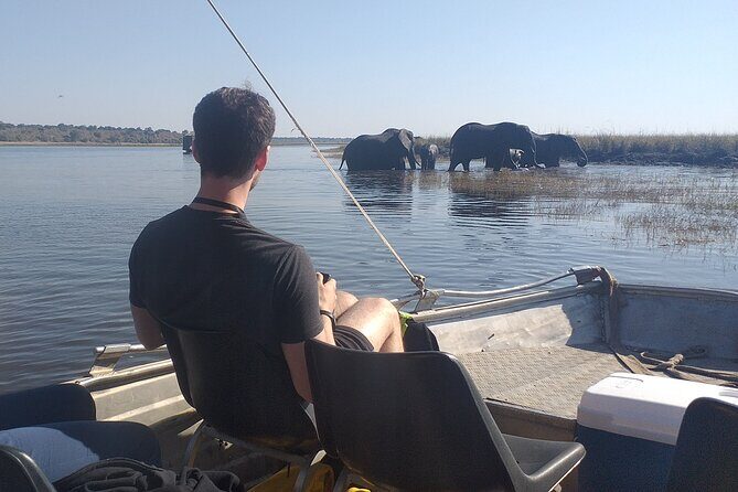 Chobe Botswana Full-Day Trip - Final Thoughts: Is This Tour Worth It?