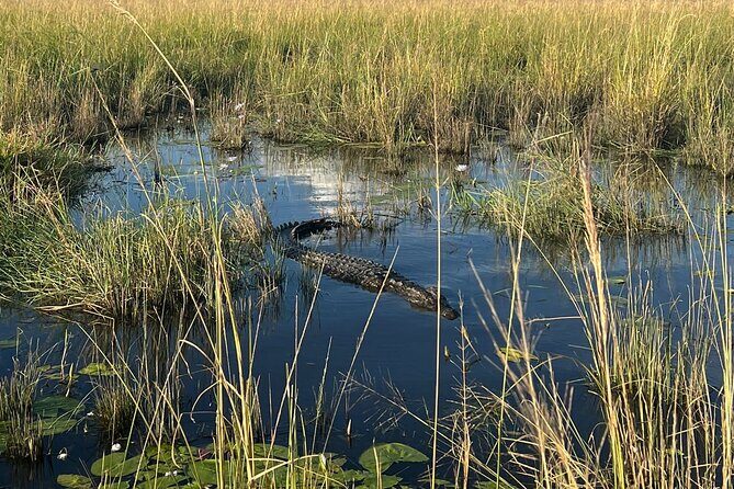Chobe Day Trip from Victoria Falls - Transportation and Group Size