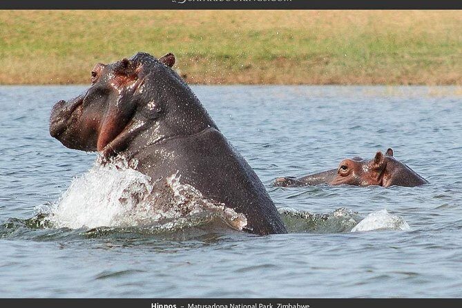 Chobe Day Trip in Botswana - The Practical Details