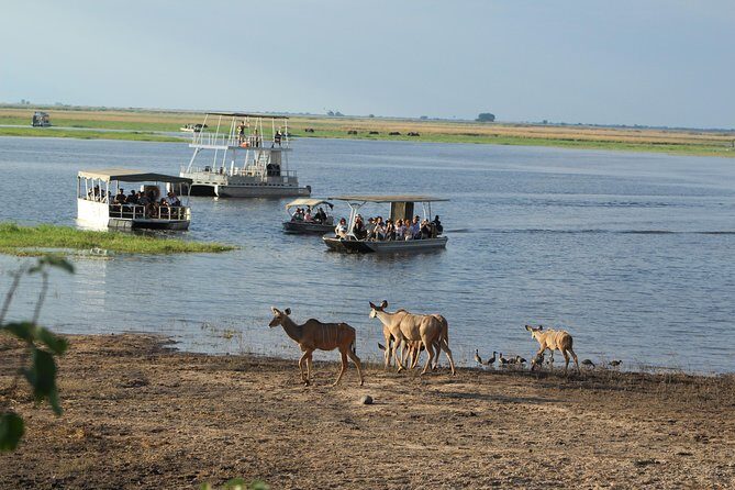 Chobe Full day Safari: Game Drive & Boat Safari with Lunch - Detailed Breakdown of the Itinerary