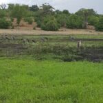 Chobe Full Day Safari in Chobe - What’s Included and What’s Not?