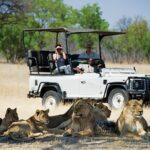 Chobe Full day Safari with Victoria falls Sunrise Tour Combo - Final Thoughts: Is This Tour Right for You?