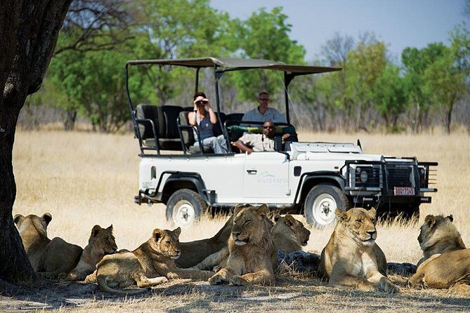 Chobe Full day Safari with Victoria falls Sunrise Tour Combo - Final Thoughts: Is This Tour Right for You?