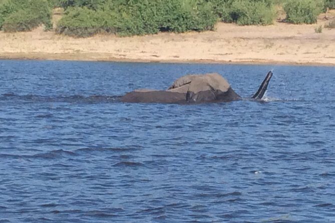Chobe Full day Trip - FAQ