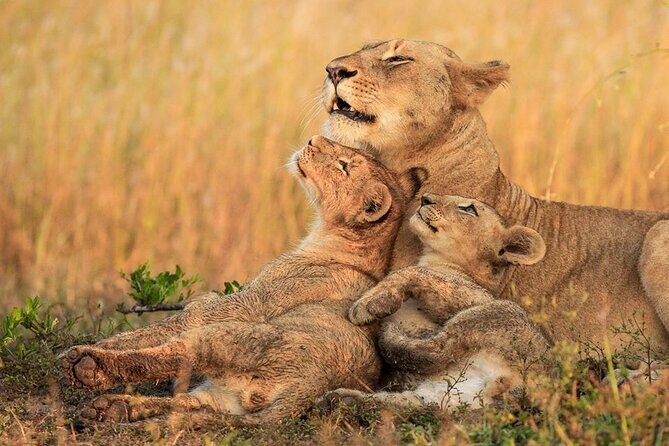 Chobe Full Day Trip - The Value of a Small Group